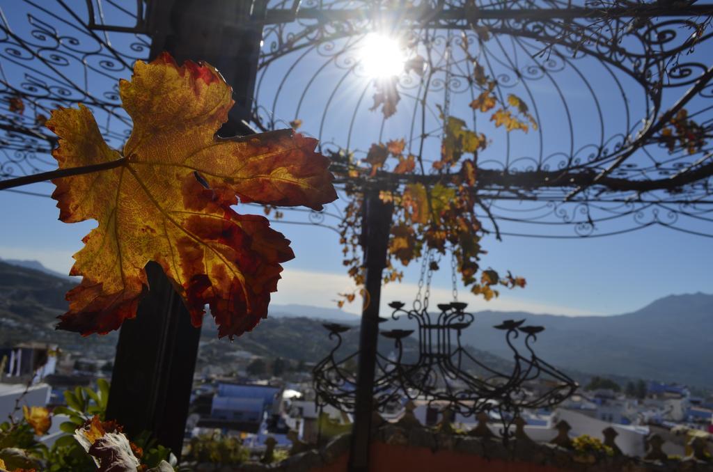 Bed and Breakfast Dar Meziana Chefchaouen Exterior foto